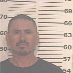 Garcia Carlos - Hidalgo County, TX 