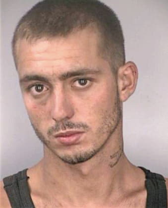 Peel Christopher - Hillsborough County, FL 