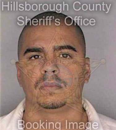Garcia Lee - Hillsborough County, FL 