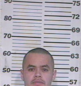Ceballos Roberto - Hidalgo County, TX 