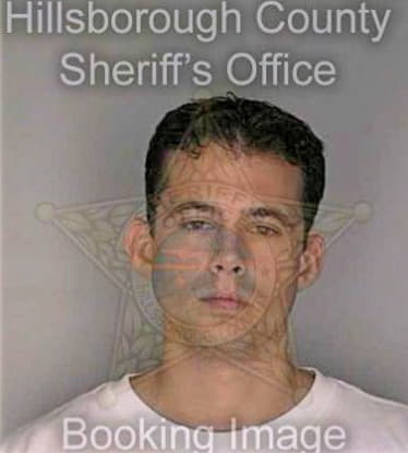 Wallace Sean - Hillsborough County, FL 
