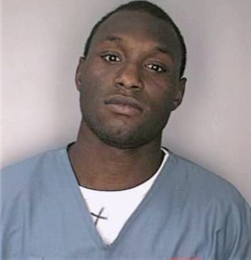 Brinson Tory - Hillsborough County, FL 