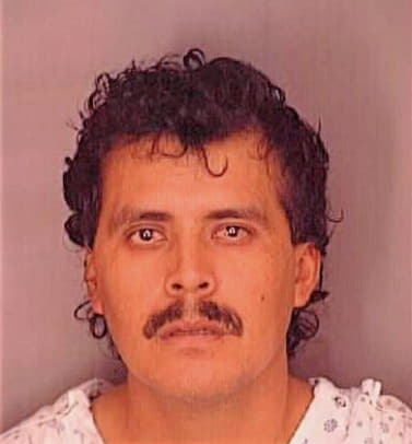 Martinez Miguel - Polk County, FL 