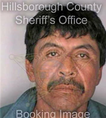 Morales Antonio - Hillsborough County, FL 