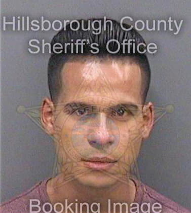 Martinez Austin - Hillsborough County, FL 