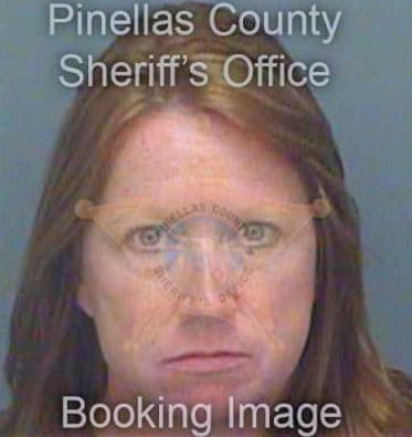 Rizzo Karen - Pinellas County, FL 