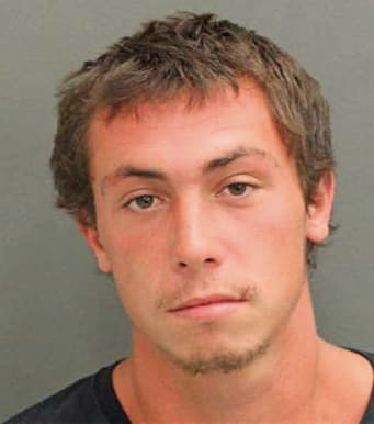 Williams Vincent - Orange County, FL 