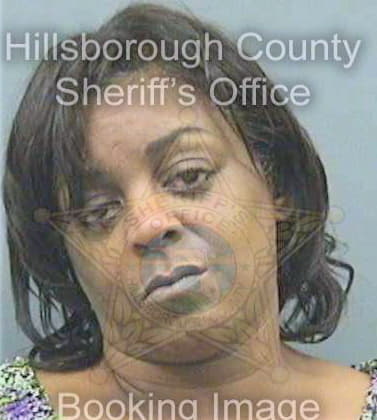 Howell Andrene - Hillsborough County, FL 