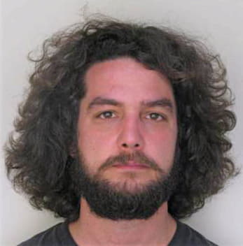 Merritt Daniel - Hillsborough County, FL 