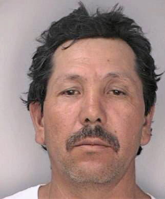 Garcia Miguel - Hillsborough County, FL 