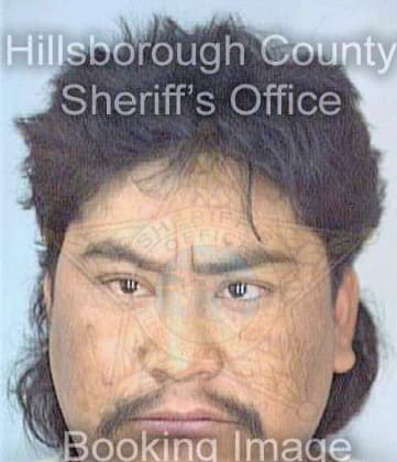 Ortiz Pedro - Hillsborough County, FL 