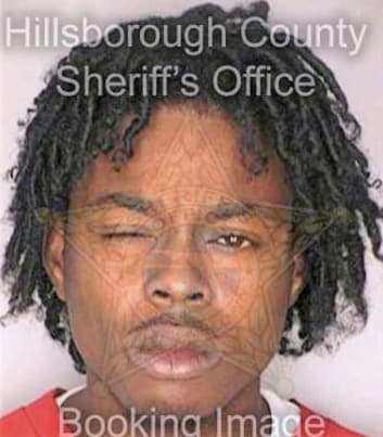 Boggon Roorickles - Hillsborough County, FL 