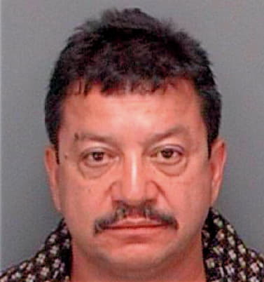 Bueno Cesar - Pinellas County, FL 