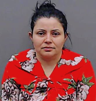 Flores-Serna Erika - Smith County, TX 