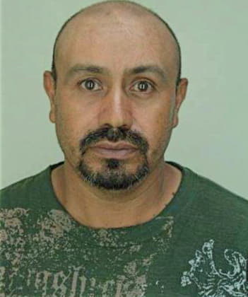 Reyes Fernando - Hillsborough County, FL 