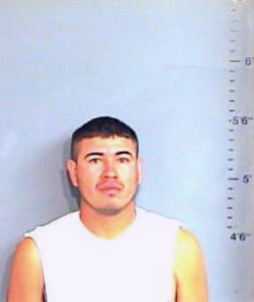Torres-Delgado Mauricio - Brazos County, TX 