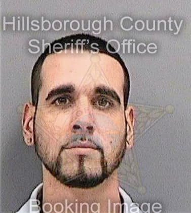 Troncoso Gilmir - Hillsborough County, FL 