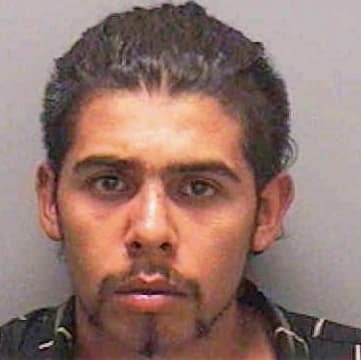 Lule Juan - Lee County, FL 