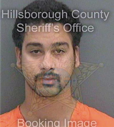 Molina Pedro - Hillsborough County, FL 