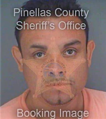 Reynoso Victor - Pinellas County, FL 