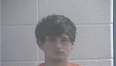 Mccowan Aaron - Laurel County, KY 