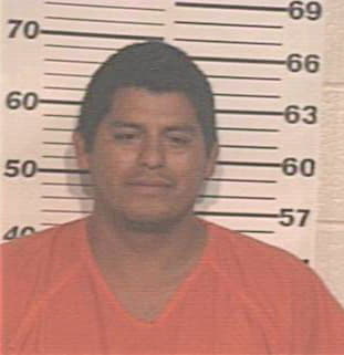 Palomares Andres - Hidalgo County, TX 