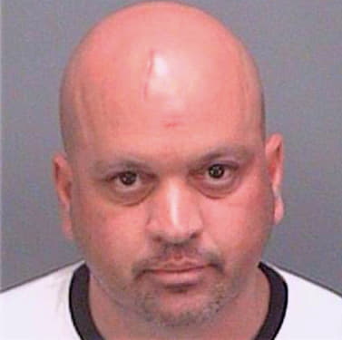 Patterson Brett - Pinellas County, FL 