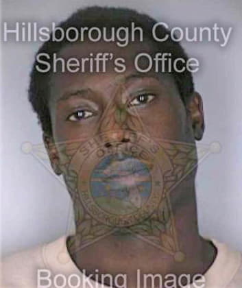 Brittian Eric - Hillsborough County, FL 