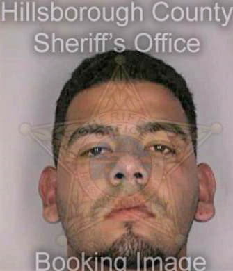 Ramirezsaavedra Carlos - Hillsborough County, FL 