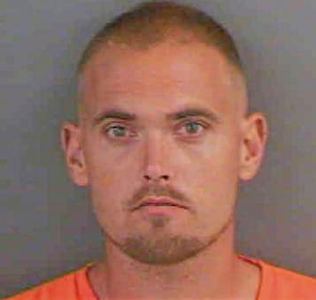 Pearson Jason - Collier County, FL 