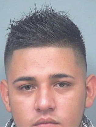 Herrera-Zavala Eduardo - Gwinnett County, GA 