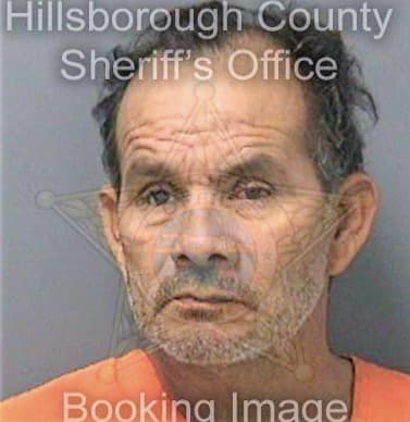 Segura Jose - Hillsborough County, FL 