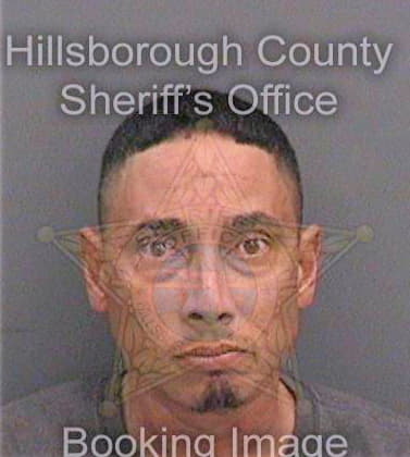 Garciaadorno Ricardo - Hillsborough County, FL 