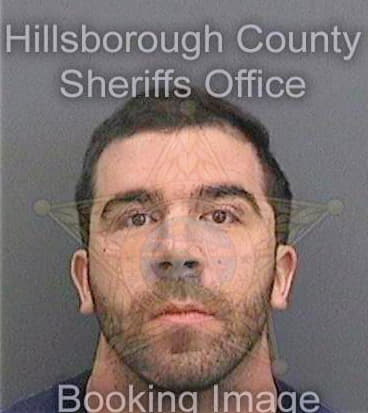 Baldini Andrew - Hillsborough County, FL 