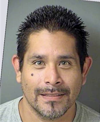 Medina Jay - Denton County, TX 