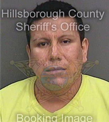 Lararivera Jose - Hillsborough County, FL 