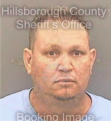 Santiagovargas Juan - Hillsborough County, FL 