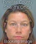 Gray Michele - Pinellas County, FL 