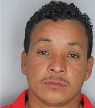 Calixgarcia Pedro - Hillsborough County, FL 