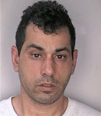Gonzalez Radames - Hillsborough County, FL 