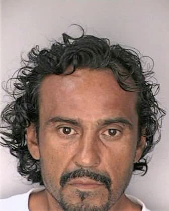 Andrade Ronald - Hillsborough County, FL 