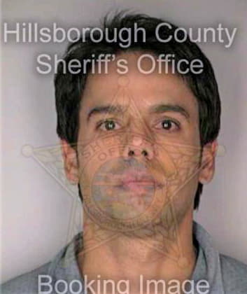 Diaz Ronnie - Hillsborough County, FL 
