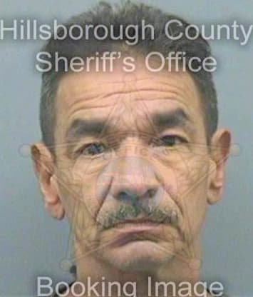 Torres Carlos - Hillsborough County, FL 