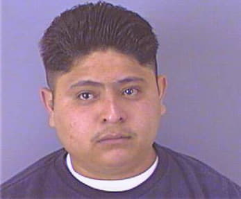 Borja Homero - Smith County, TX 