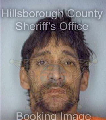 Gonzalez Victor - Hillsborough County, FL 