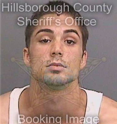 Moseley Hamilton - Hillsborough County, FL 