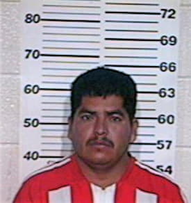 Silva Jose - Hidalgo County, TX 