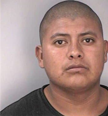 Leyva Pedro - Hillsborough County, FL 