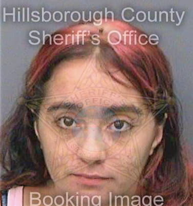 Guzman Ashley - Hillsborough County, FL 