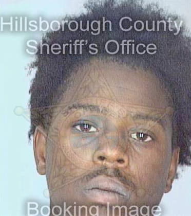 Mckelvin Cecil - Hillsborough County, FL 
